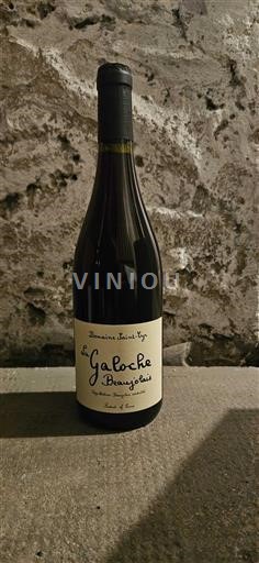 Beaujolais Domaine Saintcyr La Galoche 2023