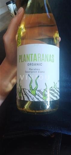 Aragonia Määrittelemätön Plantaranas Ei vuosikertaa