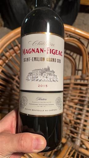 Bordeaux Saint-Émilion Grand Cru Château Magnanfigeac 2015