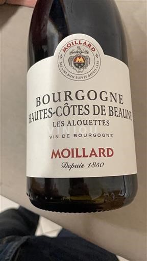Borgogna Hautes Côtes de Beaune Domaine Moillard Les Alouettes 2023