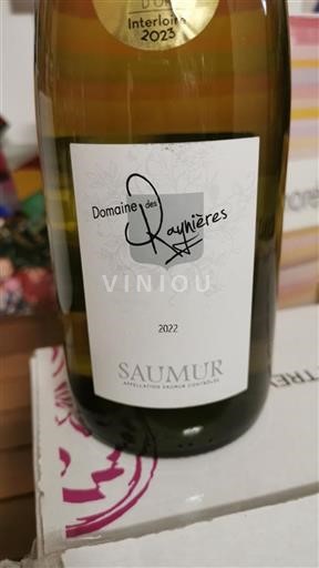 Valle della Loira Saumur Domaine Des Raynières 2022