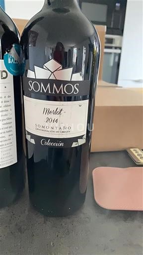 Aragon Somontano Sommos Colección 2014
