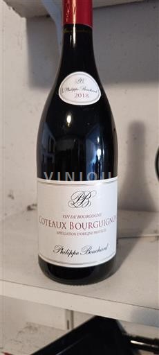 Bourgondië Bourgondische heuvels Philippe Bouchard 2018