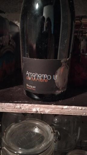 Valle della Loira Bourgueil Château Minière Amphore de Minière 2019