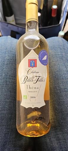 Sydvestfrankrig Ikke specificeret Château Belle Filles Théna 2016