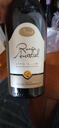 Jura Côtes-du-jura Domaine Baud Rouge Ancestral Non Millésimé