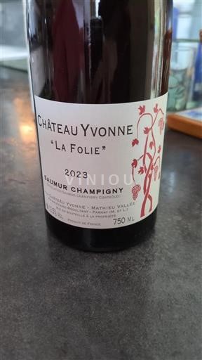 Vin Rouge sec La Folie Château Yvonne 2023 France Vallée de la Loire Saumur-champigny AOC