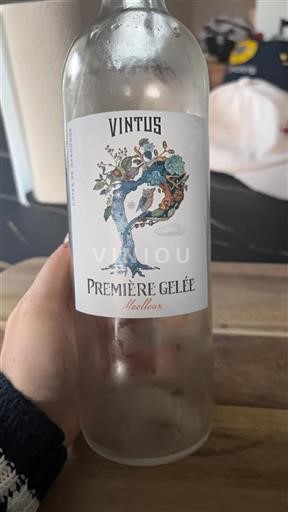 Vin Blanc moelleux Première Gelée Vintus Non millésimé France Sud-Ouest Côtes de Gascogne