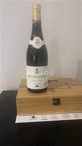 Burgund L’aurore 2023