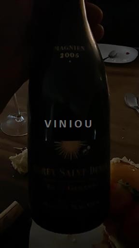 Borgogna Gevrey-Chambertin Premier Cru Magnen 2005
