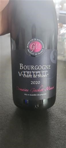 Burgund Grand Cru Domaine Gachotmonot Chant de Muses 2020