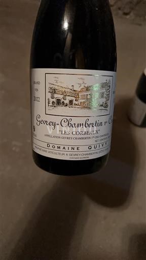 Burgundy Gevrey-Chambertin Premier Cru Domaine Quivy Les Corbeaux 2022