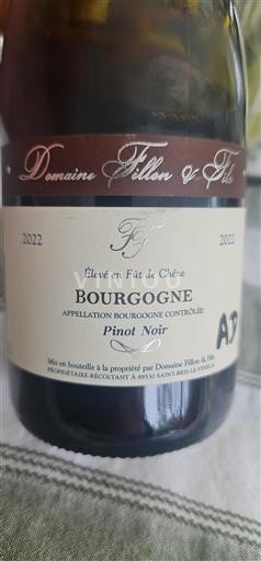 Bourgogne Domaine Fillon & Fils 2022