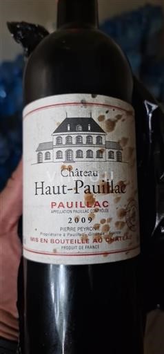 Bordéus Pauillac Château Haut Pauillac 2009
