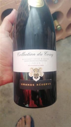 Loiren laakso Muscadet-sèvre-et-maine Château Coing Grande Réserve Ei vuosikertaa