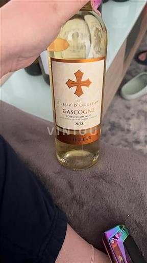 Sud-Ouest Côtes de Gascogne La Fleur Occitan Gascogne 2022