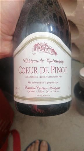 Jura Ni doloceno Château Quintigny Coeur de Pinot Neleten.