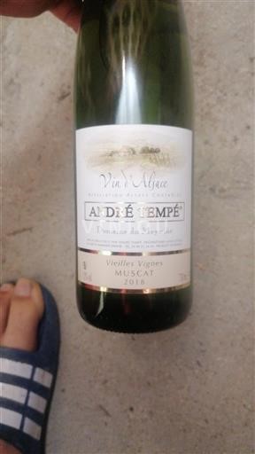 Alsace André Tempé 2018