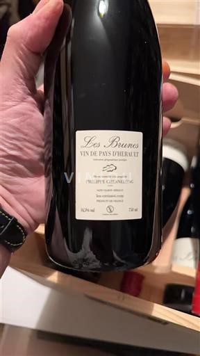 Languedoc Not Specified Philippe Chesnelong Les Brunes 2021