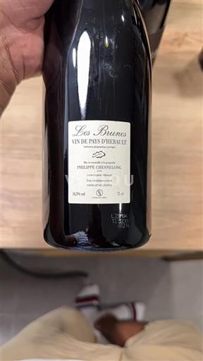 Languedoc Ospecificerad Philippe Chesnelong Les Brunes 2021