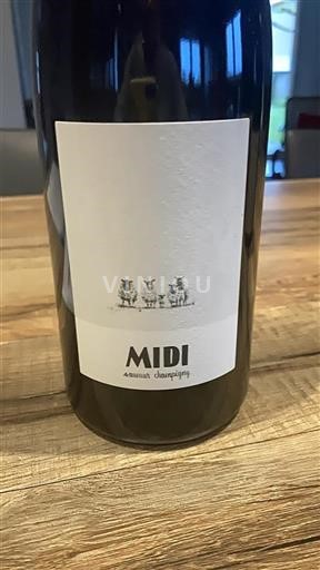 Loiren laakso Saumur-champigny Midi 2020
