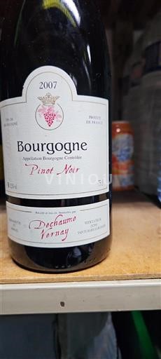 Borgoña Dechaume Vernay Pinot Noir 2007