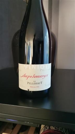 Sud-Ovest Non specificato Domaine Pellehaut Ampelomeryx 2022