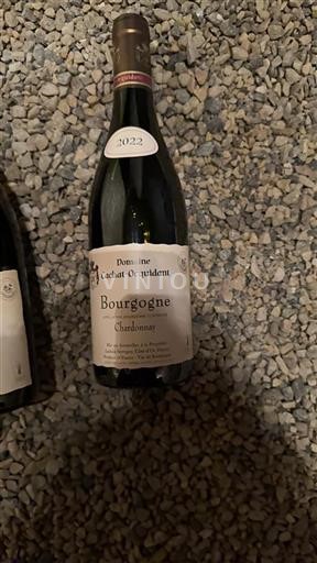Vin Blanc sec Chardonnay Domaine Cachat-Ocquidant 2022 France Bourgogne