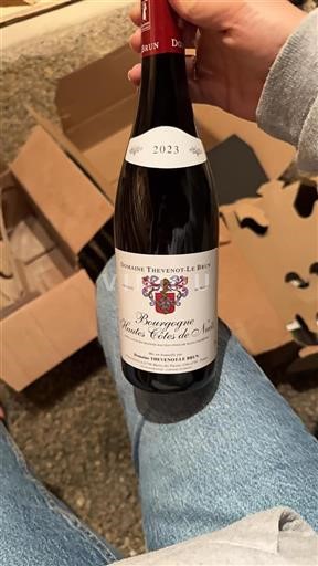 Bourgogne Ospecificerad Domaine Thevenotle Brun 2023