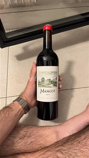 Bordeaux Saint-Émilion Grand Cru Grand Cru Château Mangot 2019