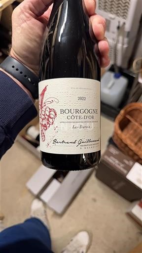 Burgundi Bourgogne Côte d'Or Bertrand Guillemard Les Durots 2022