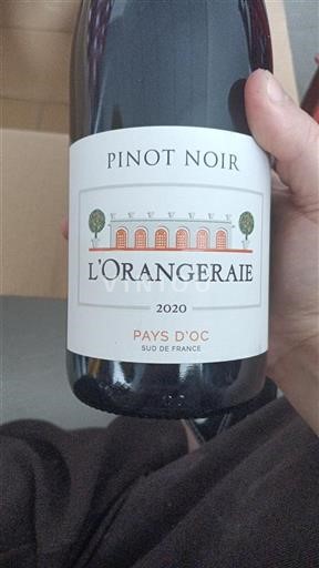Languedoc-Roussillon Pays d'Oc L’orangeraie 2020