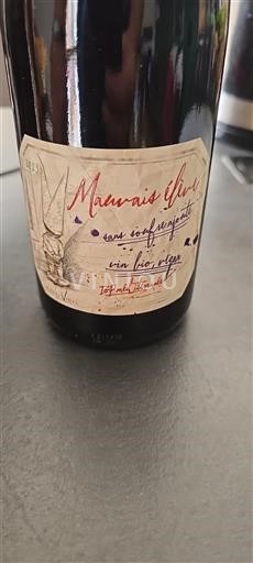 Provence, Lower Rhône Valley, Corsica Mediterranean Pierre Vidal Mauvais Élève 2023