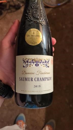 Loiren laakso Saumur-champigny Domaine Fouchereau 2019