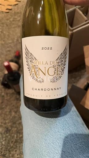 Languedoc Ospecificerad Villa Des Anges 2022