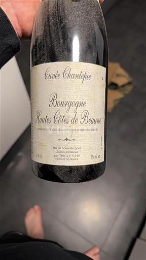 Bourgogne Hautes Côtes de beaune Charles Delatour Chantepie 1991