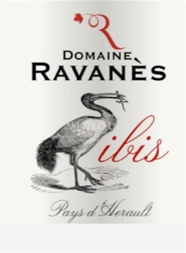 Languedoc and Roussillon Coteaux de Murviel Domaine Ravanès L’Ibis Rouge 2019
