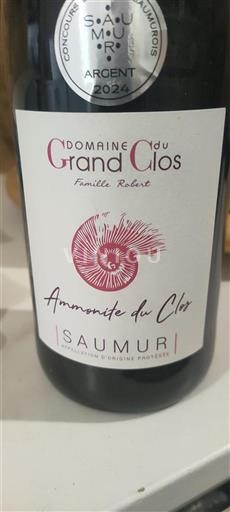 Loire-dalen Saumur Domaine Grand Clos Ammonite du Clos 2022