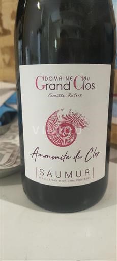 Loire-dalen Saumur Domaine Grand Clos Ammonite du Clos 2021