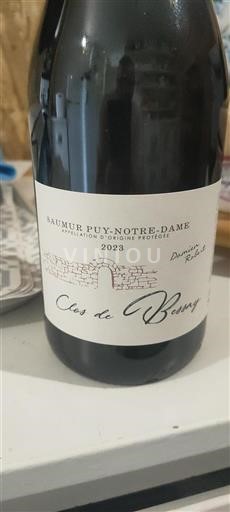 Valle della Loira Saumur Puy-Notre-Dame Clos De Bessy 2023