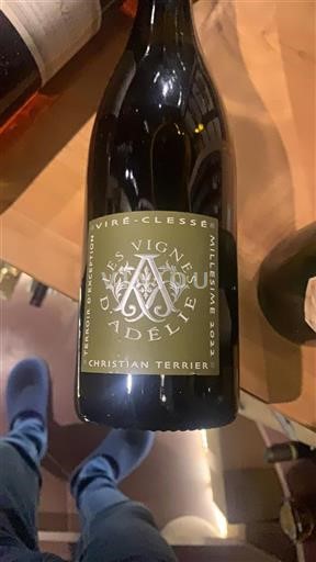 Vin Blanc sec Les Vignes d'Adélie Christian Terrier 2022 France Bourgogne Viré-clessé AOC