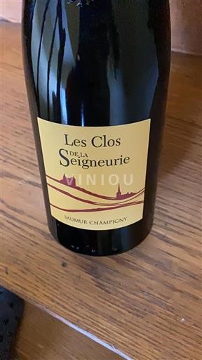 Valle della Loira Saumur-Champigny Les Clos De La Seigneurie 2020