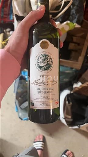 Bordeaux Entre-deux-mers haut-benauge Château Morlantuilière 2023