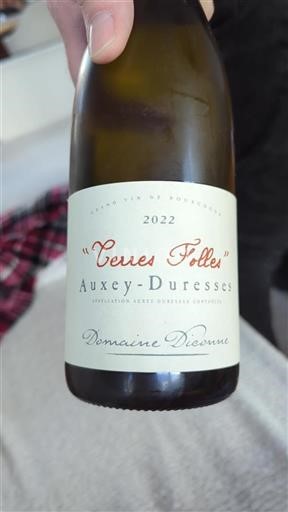 Vin Blanc sec Terres Folles Domaine Dionne 2022 France Bourgogne Auxey-duresses AOC