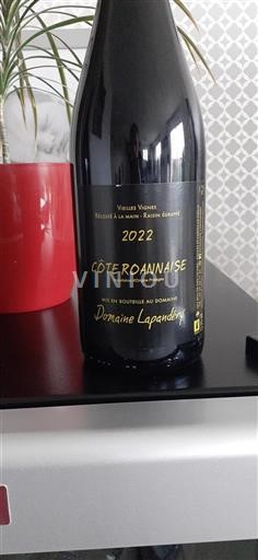Vallée de la Loire Côte-roannaise Domaine Lapandéry Vieilles Vignes 2022