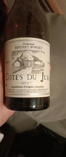 Jura Côtes-du-jura Domaine Berthetbondet 1995