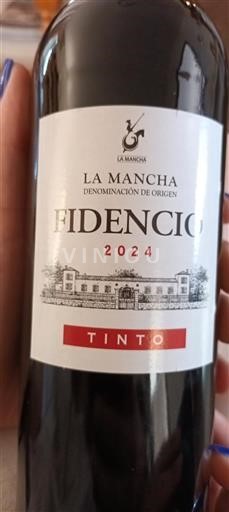 Castiglia-La Mancia La Mancia Fidencio 2024