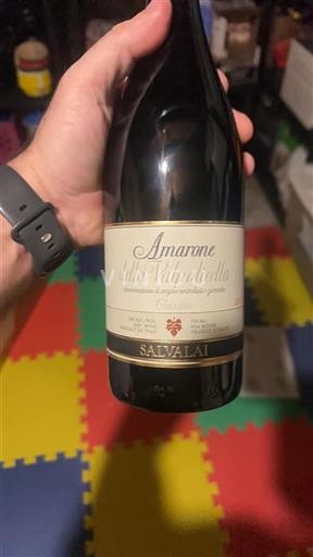 Vin Rouge sec Classico Salvalai 2017 Italie Vénétie Amarone della Valpolicella