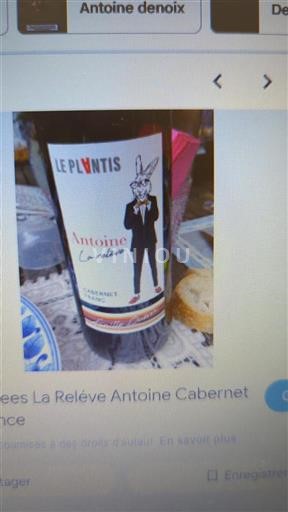 Burdeos Bordeaux Le Plantis Antoine La Releve Sin añada