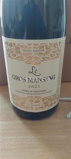 Sydväst Côtes de Gascogne Soleil Gascon Le Gros Manseng 2023